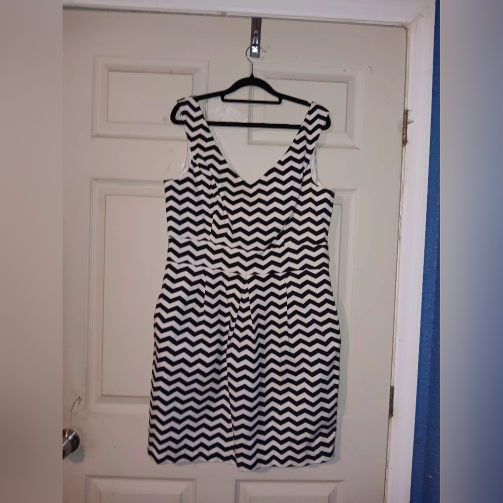 White House Black Market Zigzag Aline Knee Length Dress Sz 12